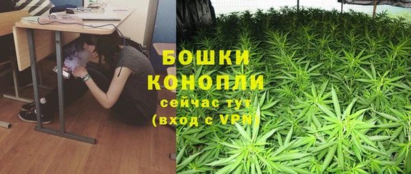 мяу мяу мука Билибино
