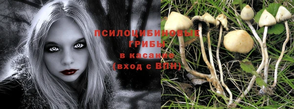герыч Михайловск