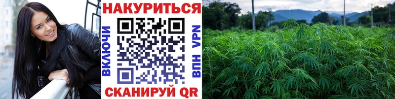 Марихуана планчик  KRAKEN ТОР  Петровск  что такое  